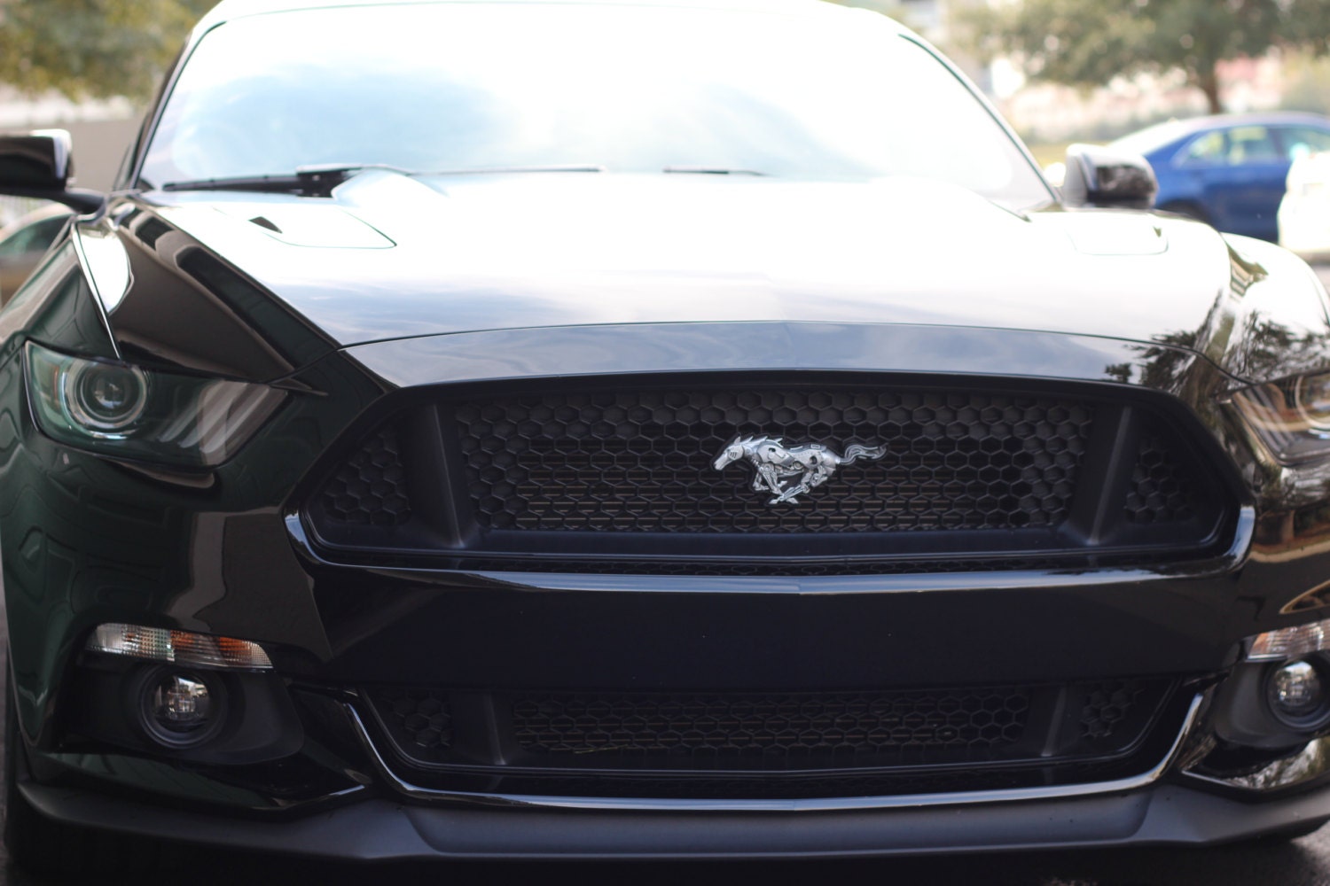 Ford Mustang 201517 Custom Grill Emblem