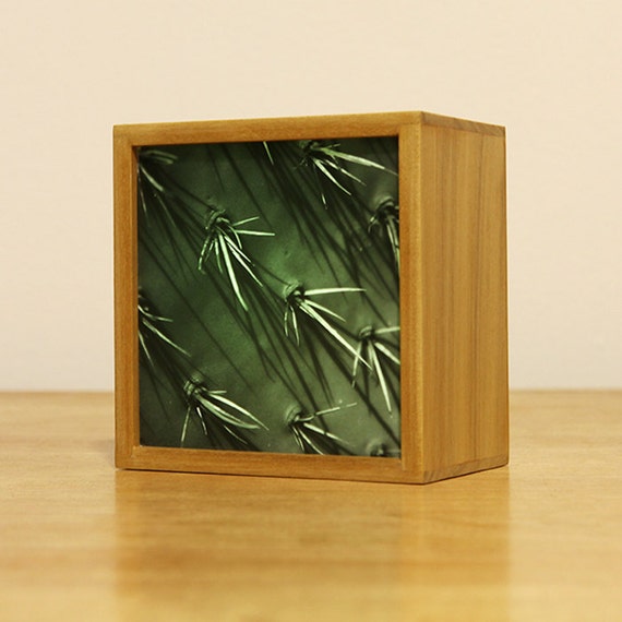 LED Photo ColorChanging Light Box