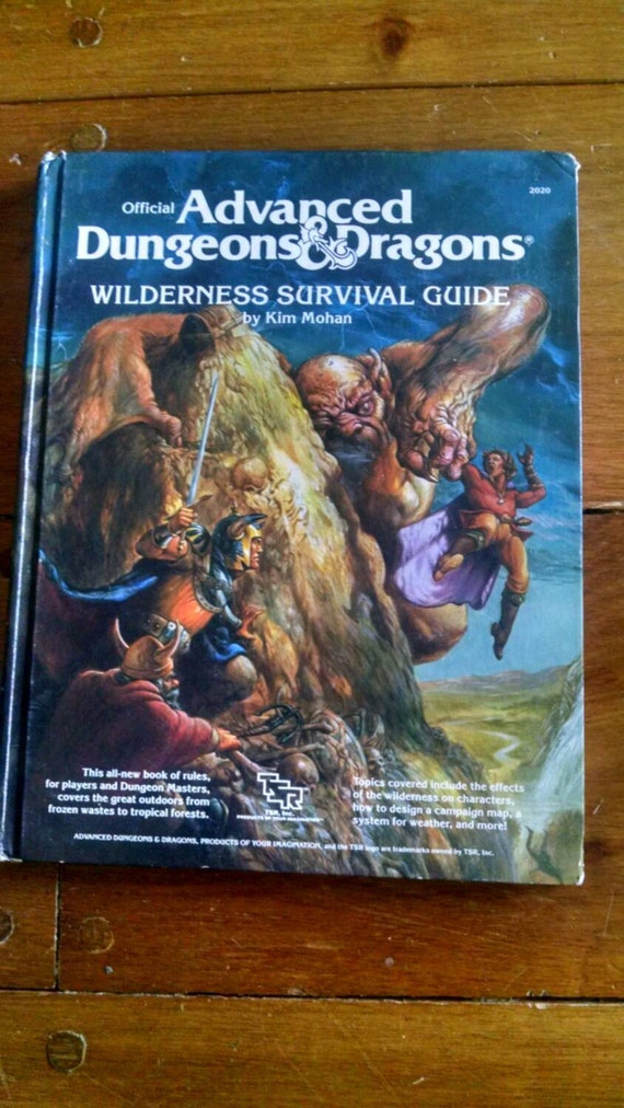 Vintage Advanced Dungeons and Dragons Wilderness by ShmaltzMart