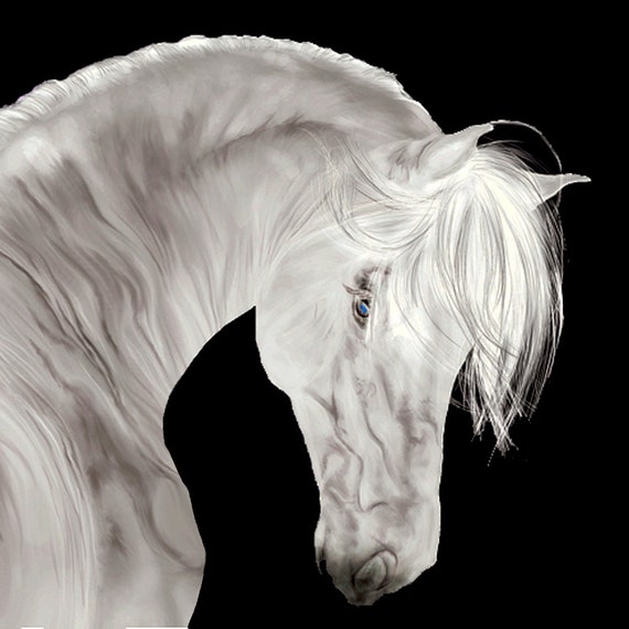 Glass Wall Art Acrylic Decor White Beautiful Horse , 5 Stars Gift Startonight 23.62 X 23.62 Inch