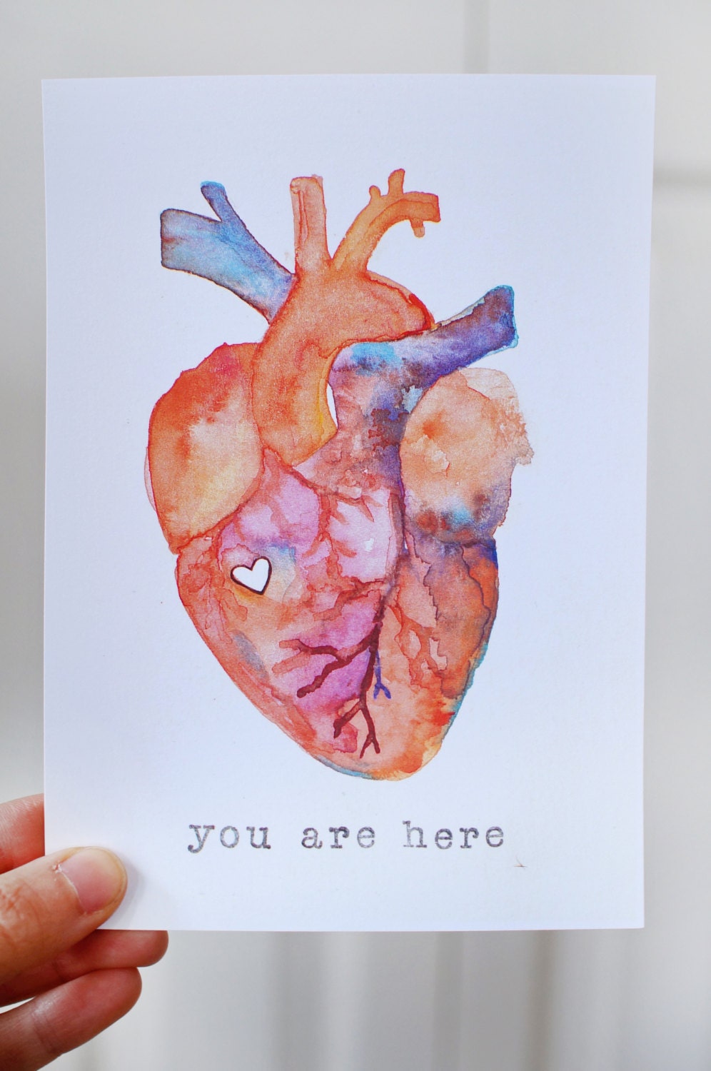 Anatomy of Love Human Heart Watercolor Print by starsoaked