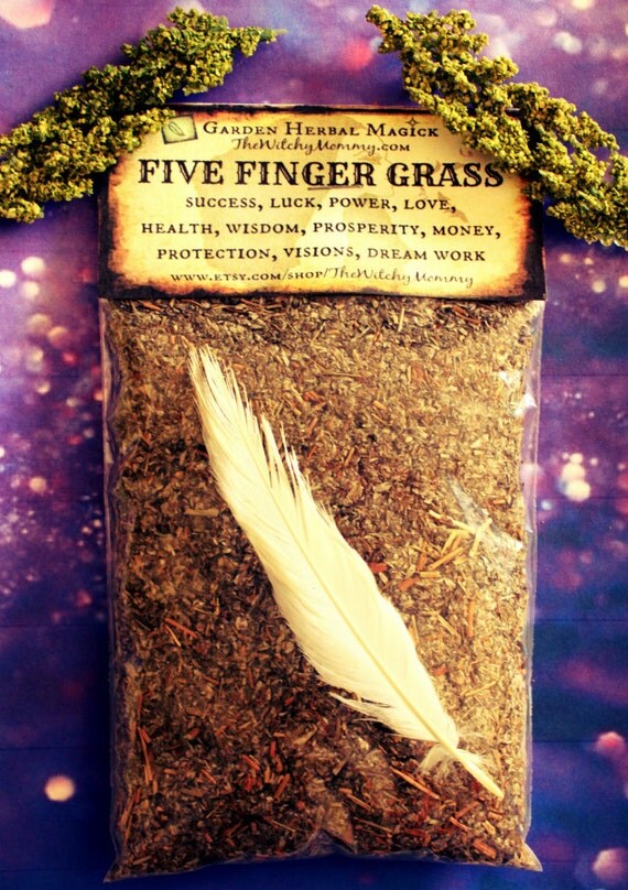 FIVE FINGER GRASS 1 oz Loose Herb aka Cinquefoil by TheWitchyMommy
