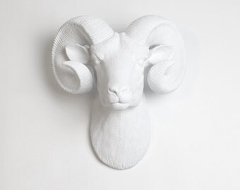 XL White Ram Head Wall Mount w/ White Horns - The XL Darby - Faux Taxidermy - Chic & Trendy Ram's Head - White Faux Taxidermy Ram Wall Decor