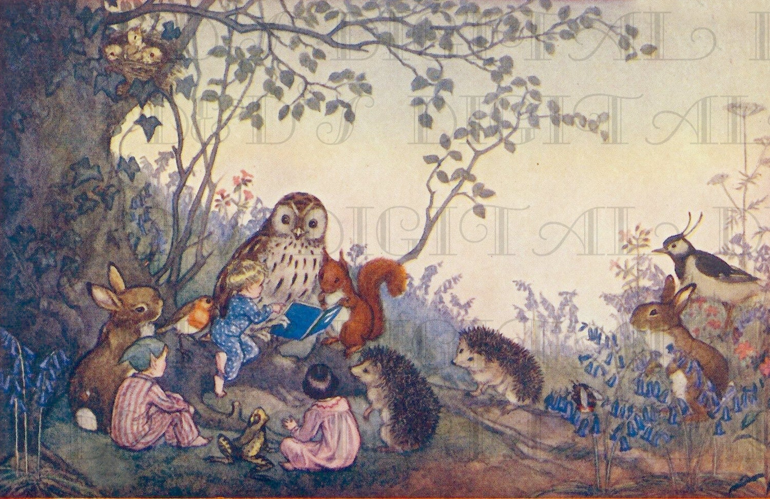 Woodland Animals READ To Elves & Children. Vintage Storybook