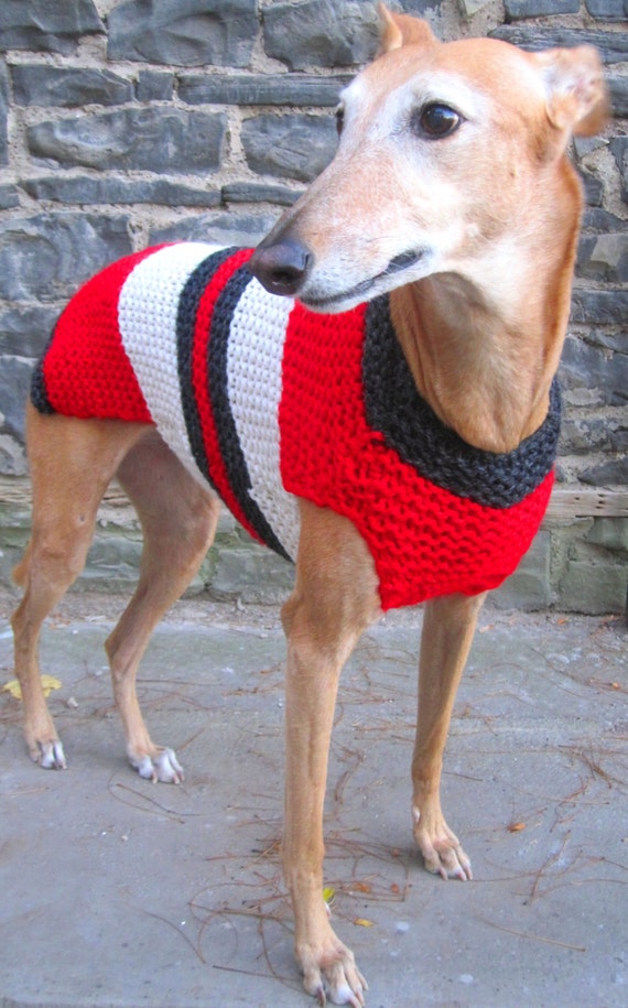 Dog sweater dog coat dog jumper greyhound sweater whippet