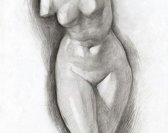 Erotic nudity - nude pencil drawing - woman nude drawing - venuc torso - erotic art print - nude fine art
