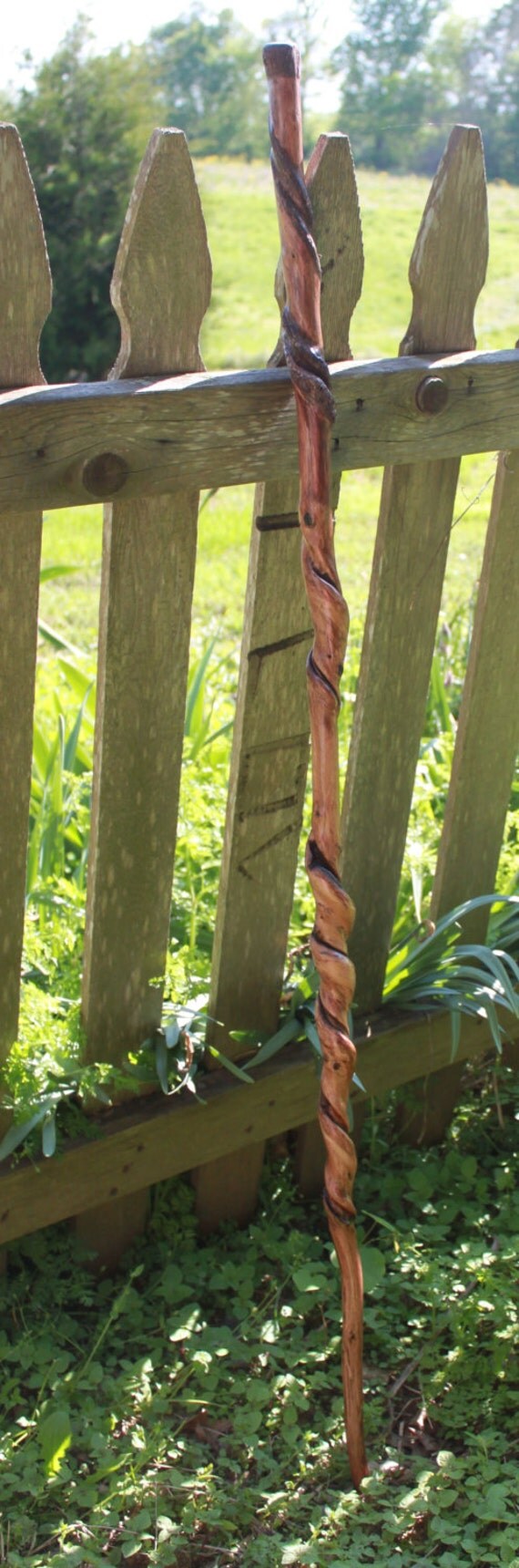 Twisted Sweet Gum Wood Walking Stick Hiking by KentuckyNaturally