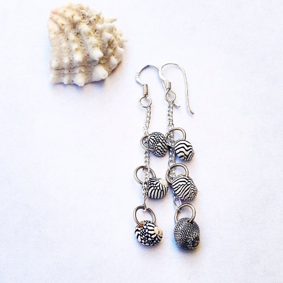 zebra earrings claire's