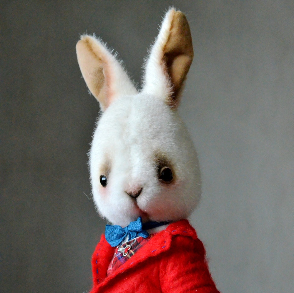 teddy bear rabbit for sale