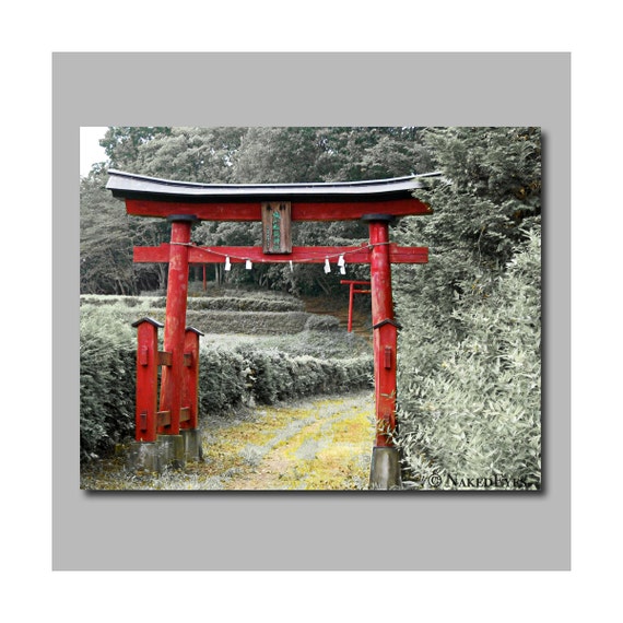 Japanese torii gate. Asian canvas print. Digitally signed.