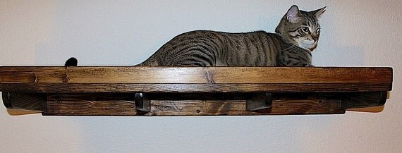 Classic Cat Wall Ramp Shelf by KittyClimbers on Etsy