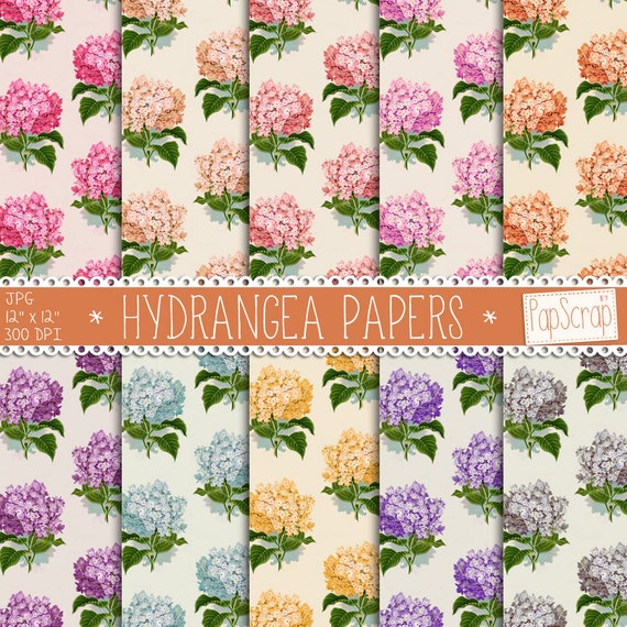 Hydrangea digital paper : Hydrangea Papers