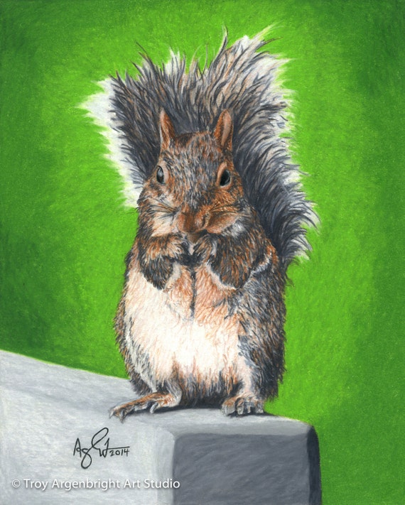 Items similar to Grey Squirrel - Colored Pencil Drawing - Fine Art ...