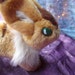 nausicaa fox squirrel plush