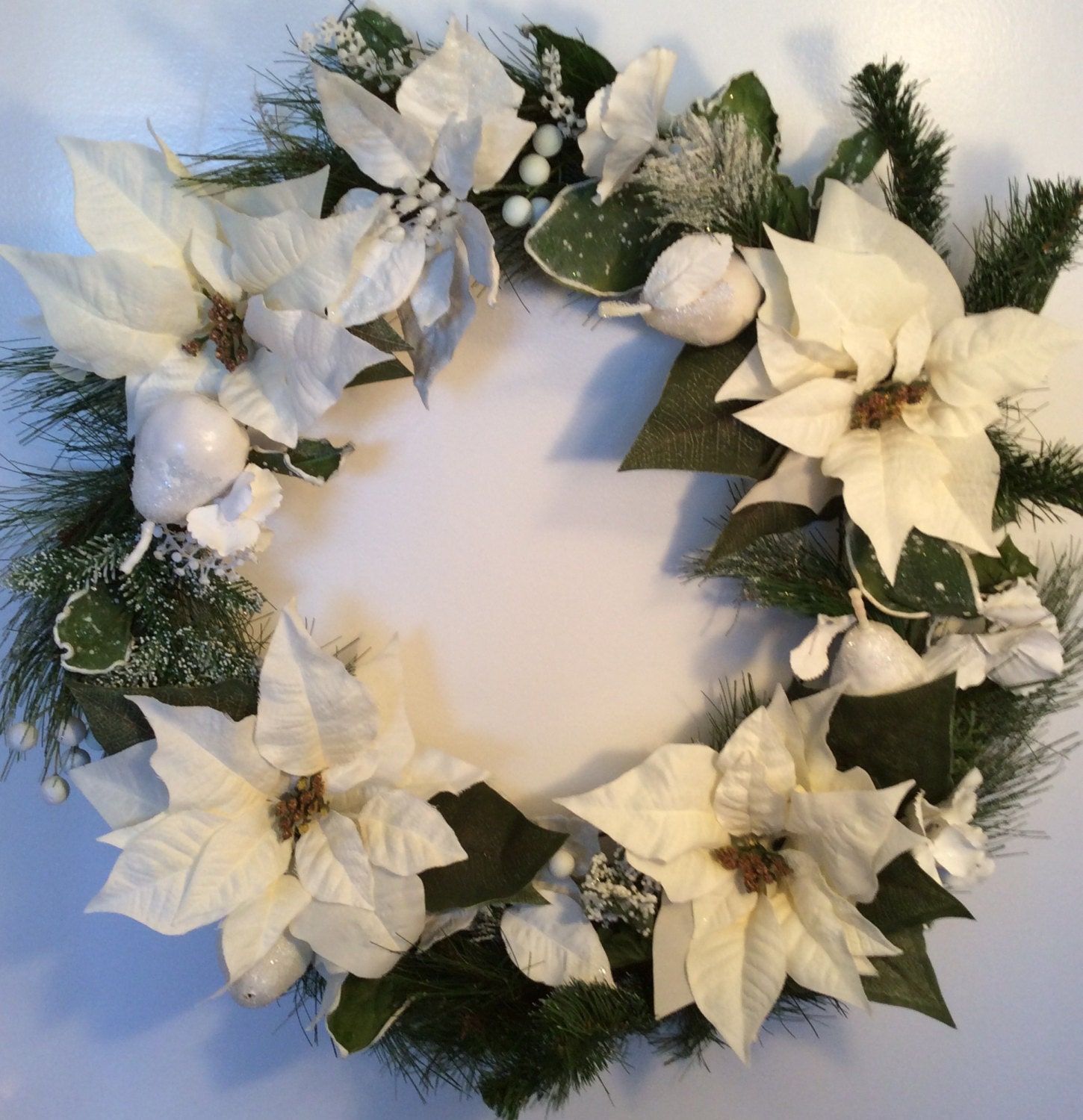 White Poinsettias