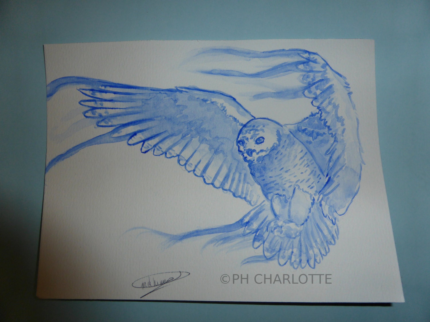 Owl patronus Watercolor