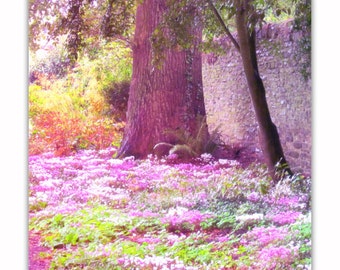 Enchanted Forest, Dreamy Photo, Nursery Print, Instant Download, Nature Photography