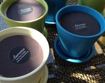 Items similar to 4 Lemongrass Plants Rooted Stalks on Etsy