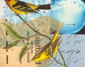 Birds of a Feather -- two yellow birds perched on a limb. Vintage book illustration collaged on found and vintage papers in blue and beige