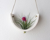 Hanging Air Plant Cradle (tm) - Natural White Earthenware Planter Vase