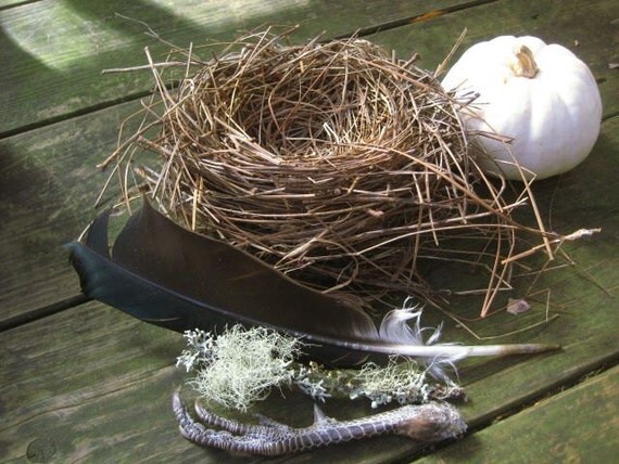 sale 1 large natural bird nest sale by elyswher on etsy sale 1 large natural bird nest sale by elyswher on etsy