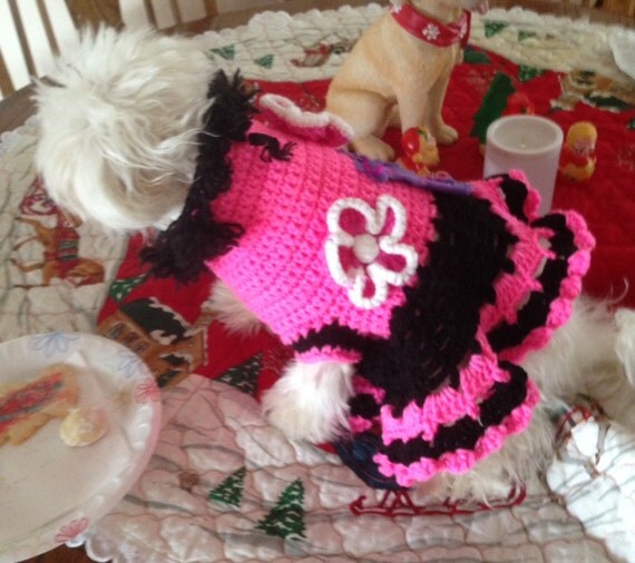 Medium Hot Pink And Black Dog Sweater Dress Small Dogs Yorkie Maltese ...