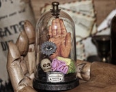 Sculpture in a Bell Jar Palmistry  Brain Phrenology Skull Miniature Cabinet Shrine Oddities