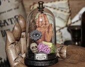 Sculpture in a Bell Jar Palmistry  Brain Phrenology Skull Miniature Cabinet Shrine Oddities