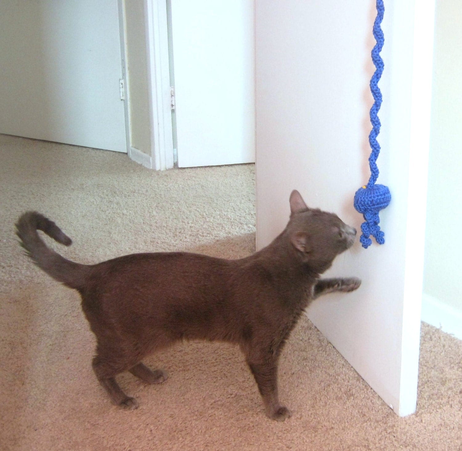 door knob cat toy