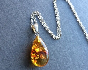 Sale Baltic Amber Pendant Sterling Silver Necklace 12 to 36 inches long