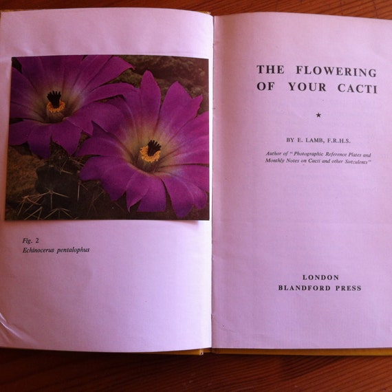 Reserved 1955 The Flowering Of Your Cacti By E Lamb Little