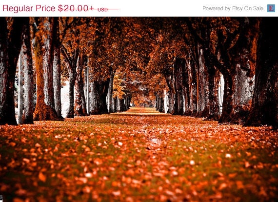 FLASH SALE Red Fall Corridor Photographic Art Print, Wall Art for Home decor, 12 Sizes Available from Prints to Mounted Canvas