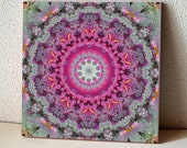Kale mandala ceramic tile, vegetable trivet, rose, lavender, silver, green, all occasion gift for gardener, decorated wall tile T847