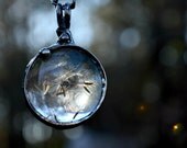 Dandelion Seed Necklace, Dandelion, Perfect Gift for the Nature Lover, Make a Wish, Real Dandelion Seed Necklace (2275h) Dandelion Seed Necklace, Dandelion, Perfect Gift for the Nature Lover, Make a Wish, Real Dandelion Seed Necklace (2275h)