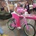 Trisha Dillard
