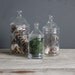 Medium Glass Apothecary Jar