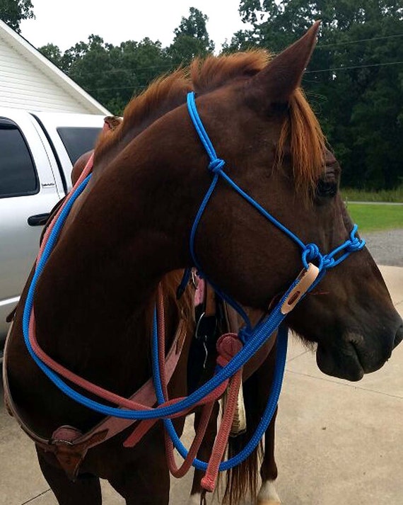 Side Pull Halter 8' Lead Rope and Reins COMBO DEAL by lazykcorral