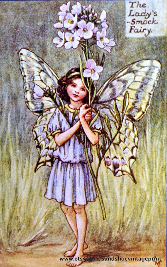 1930s LADY'S Smock FAIRY and The DAFFODIL Fairy Cicely