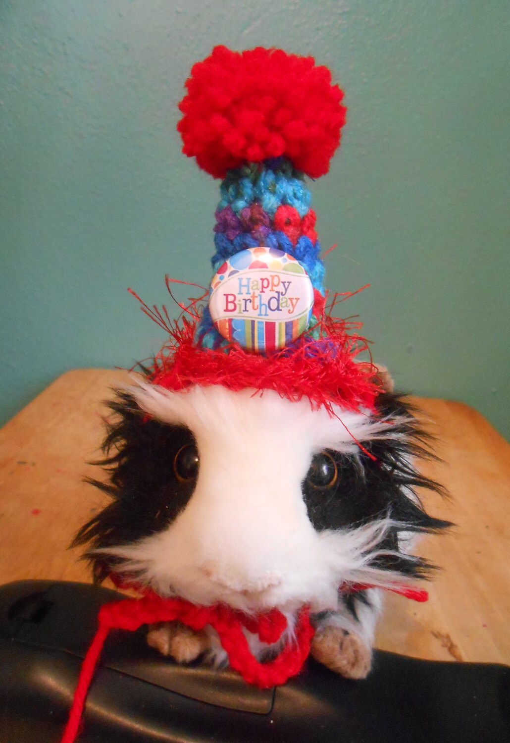 Guinea pig Birthday Hat Guinea Pig Clothes Bearded Dragon