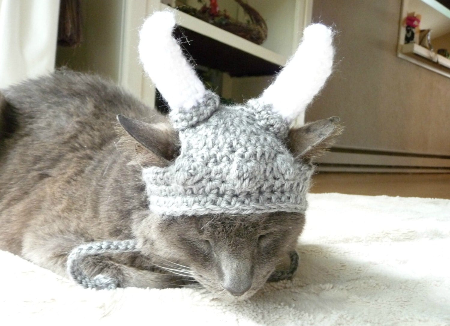 Viking Helmet for Cats Viking Cat Hat Viking Costume by zxcvvcxz