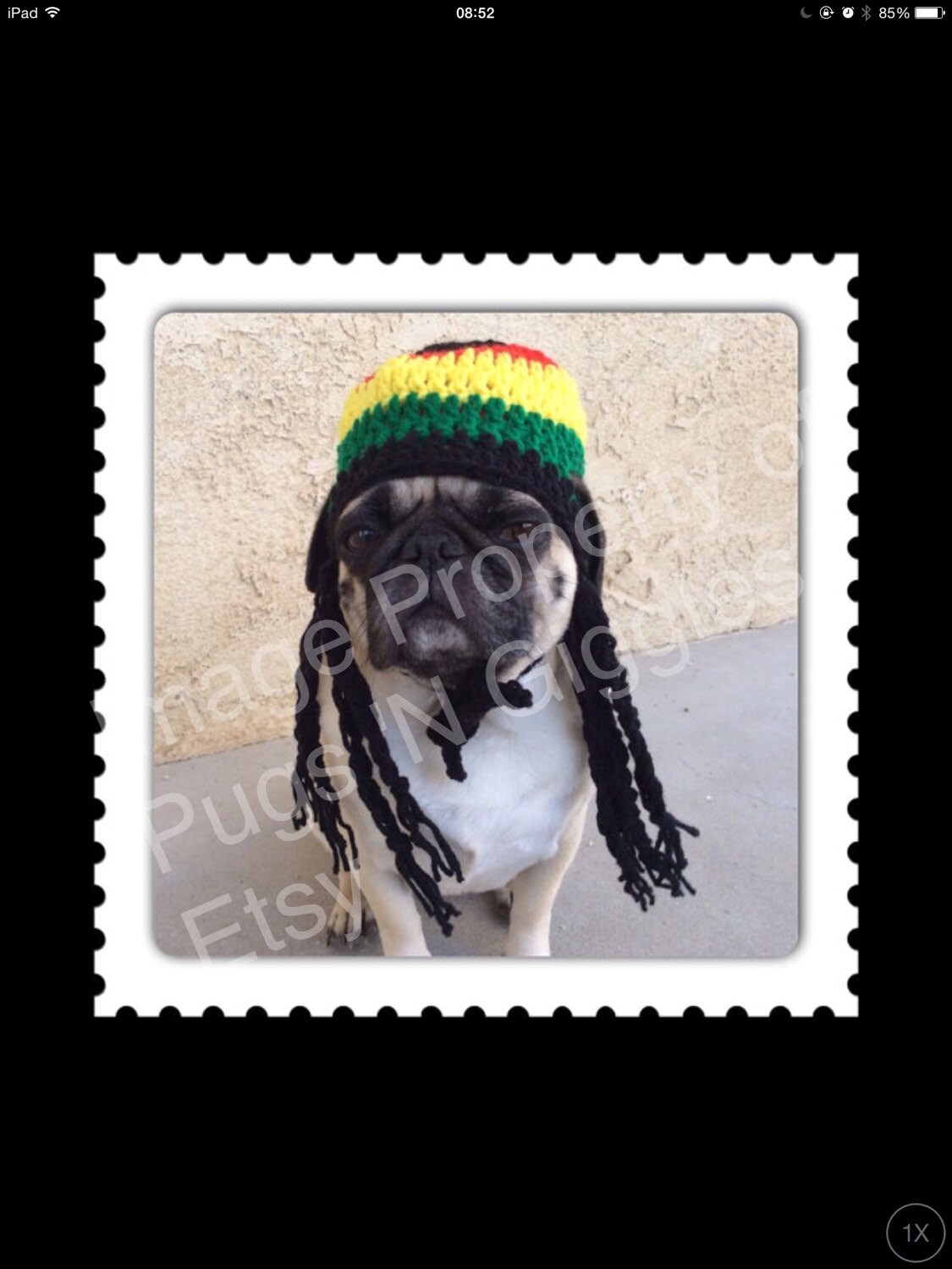 Rasta HatHats for DogsRasta Hat For by PugsNGiggles on Etsy