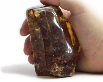 Termites Insect in Amber Stone Inclusion termite detailed polished Raw Gem The Amber Stone Large Amber with insect Fossil