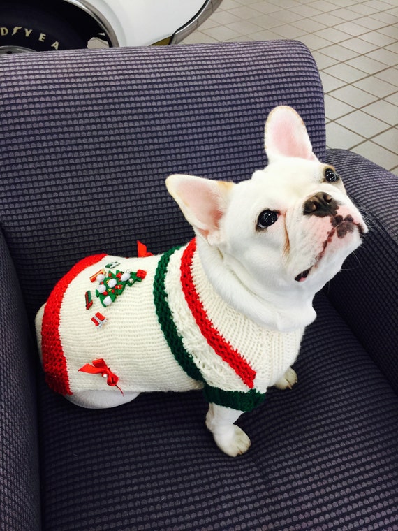 Knitted Christmas dog sweater in cream & Green and Red