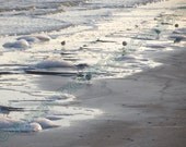 Birds in the Surf Beach Nature Photography Water Coastal Seascape Texas Gulf Coast