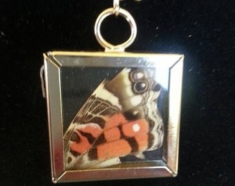Butterfly wing pendant in a chain necklace