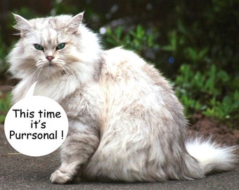 White Persian Cat Fridge Magnet 7cm by 4.5cm,