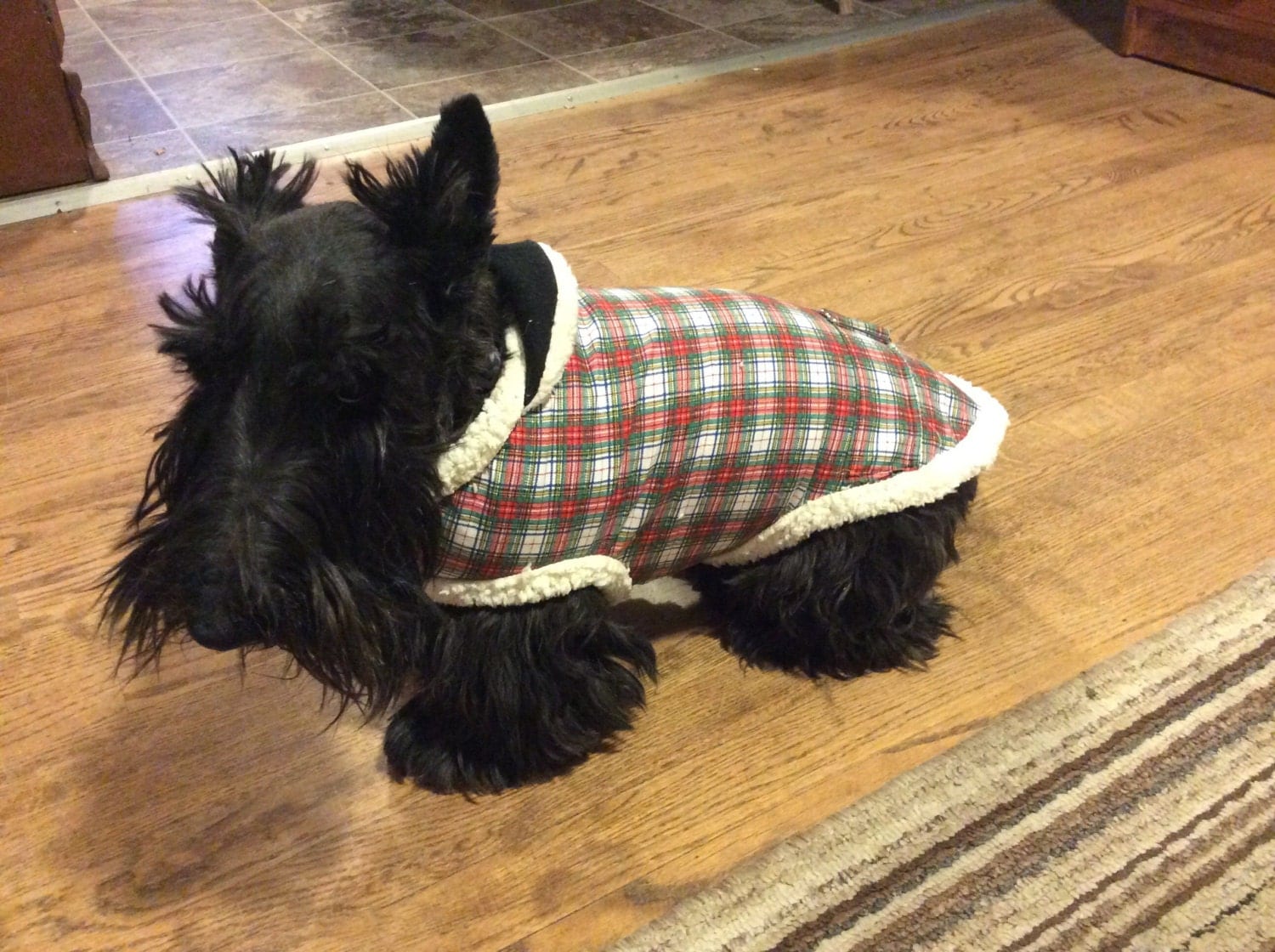 Tartan plaid dog coat
