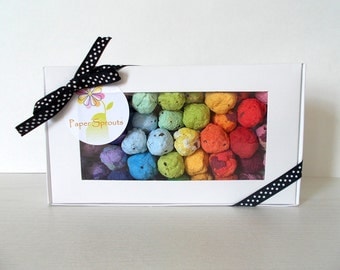 Rainbow Seed Bomb Gift Box - Unique Hostess Gift, Gardening Gift, Stocking Stuffer