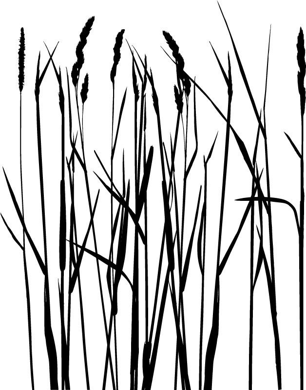 Swamp Grass Stencil Jennawoodburlapcraft by Jennawoodburlapcraft