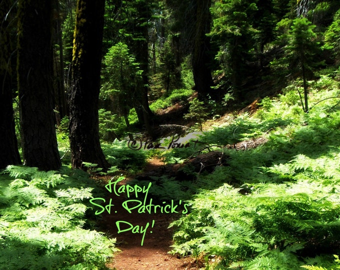 FOR St. PATRICK's Day: A Greeting Card created by Pam of Pam's Fab Photos, Handmade Blank Stationary, Coordinating Envelopes